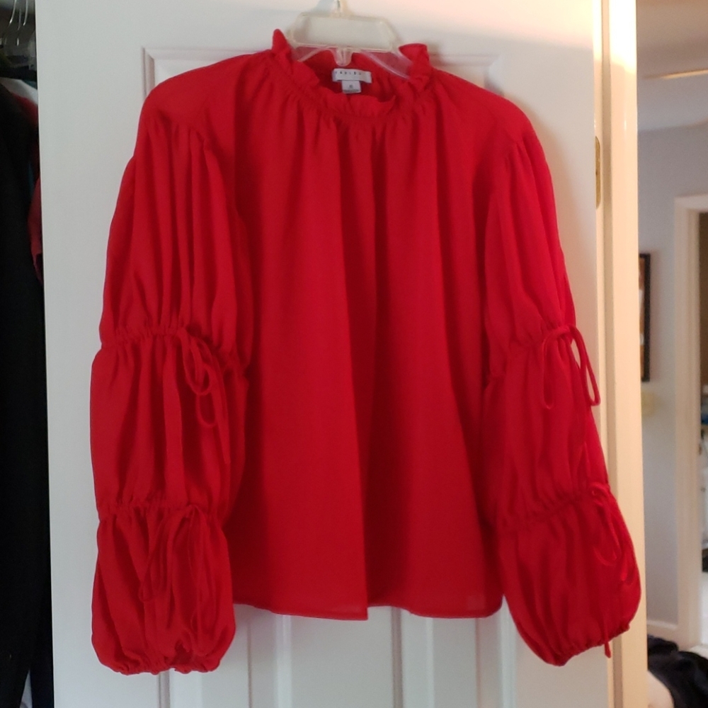 Red Blouse
